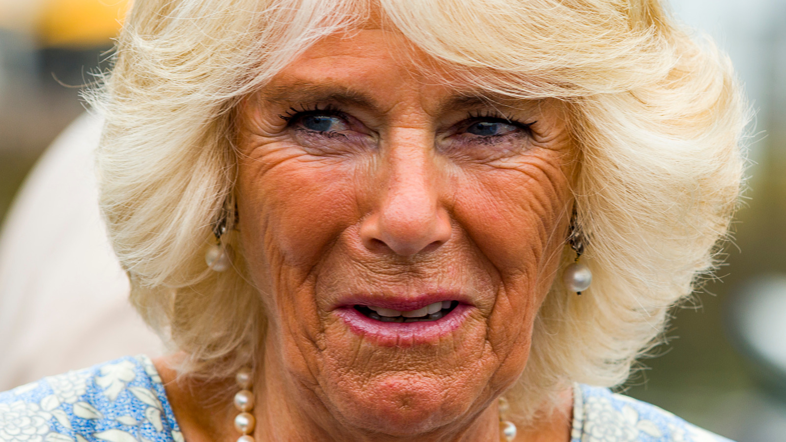 Why Insiders Think Camilla Saved Charles' Relationship With The Queen