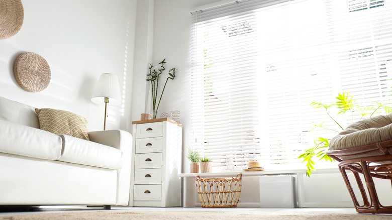 Low angle of modern organic style room