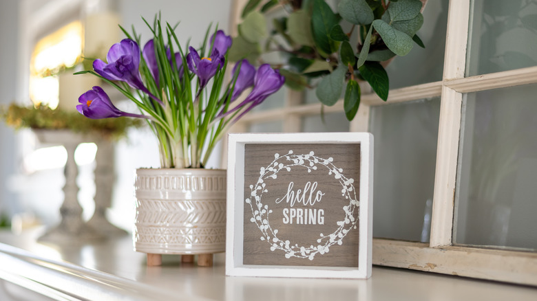 "Hello Spring" word art next to pot of flowers