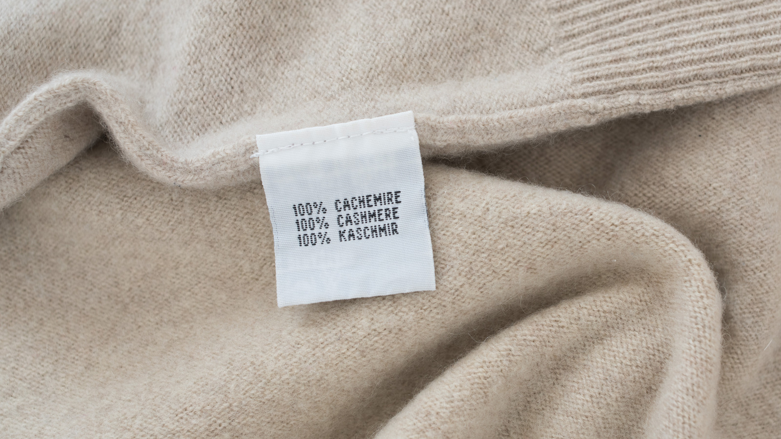 Cashmere  Why It Doesn't Need To Be Expensive