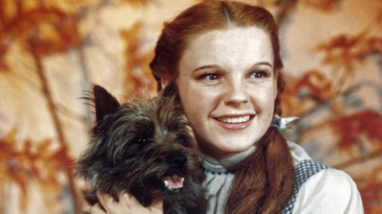 Judy Garland and Toto in "The Wizard of Oz"