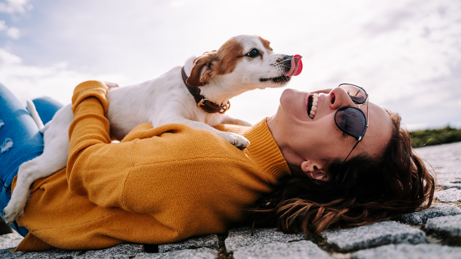 Why Laughing Is Great For Your Brain Health Why Laughing Is Great For Your Brain Health
