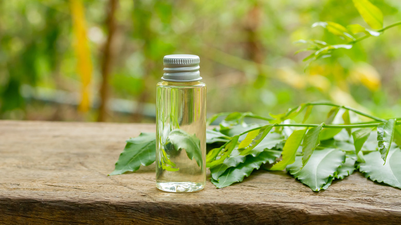 Neem oil in a bottle