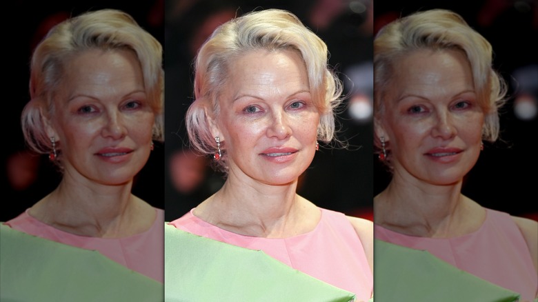 Pamela Anderson wearing pink and green dress, soft pink makeup