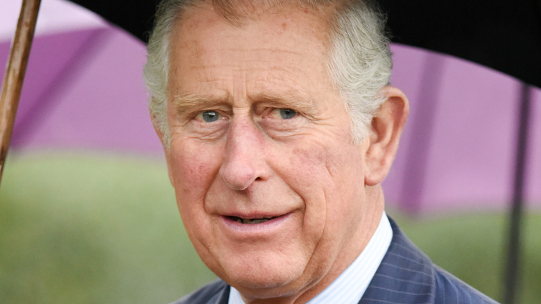 Prince Charles smiling