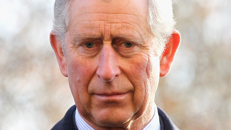 Prince Charles poses for the camera