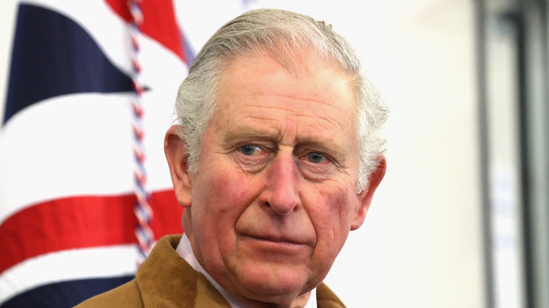 Prince Charles attends an event