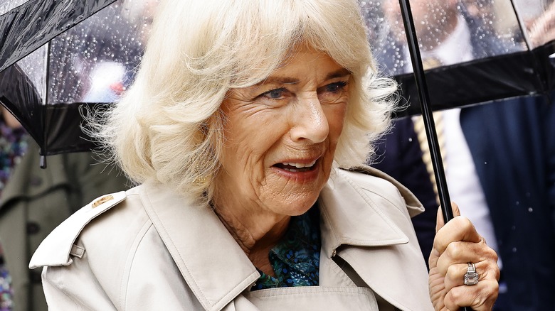 Queen Camilla visits local charity organizations in East Sussex, UK (2024)
