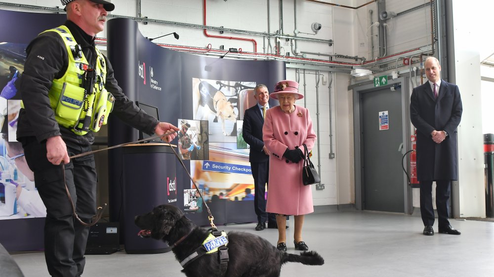 Queen Elizabeth, public appearance