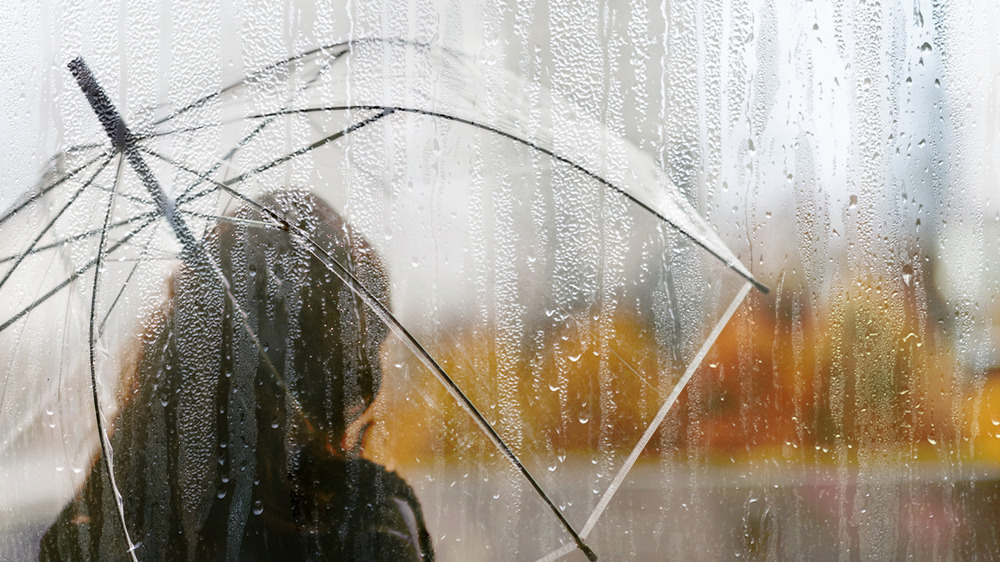 Person holding bubble umbrella as rain pours down