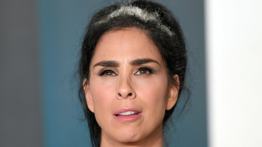 Sarah Silverman wears high ponytail