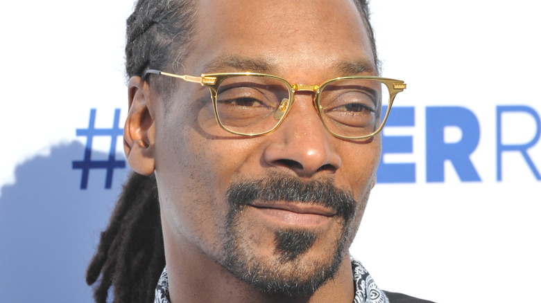 Snoop Dogg wears little smile