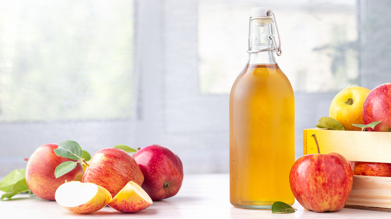 apple cider vinegar in bottles, apples on a counter