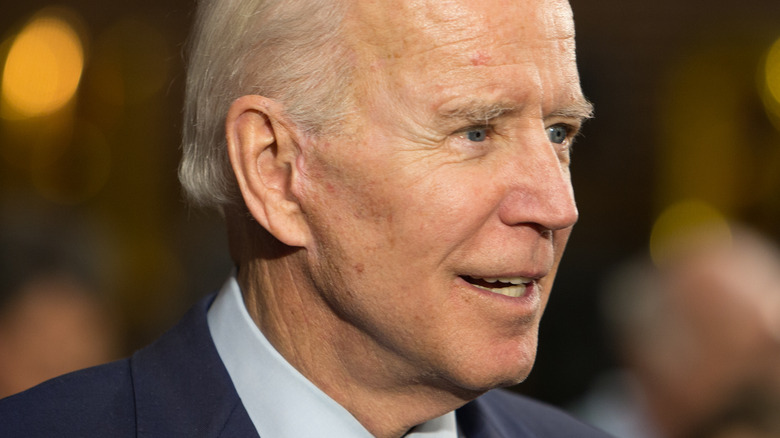 President Joe Biden in profile