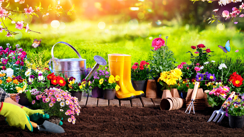 Spring gardening tools