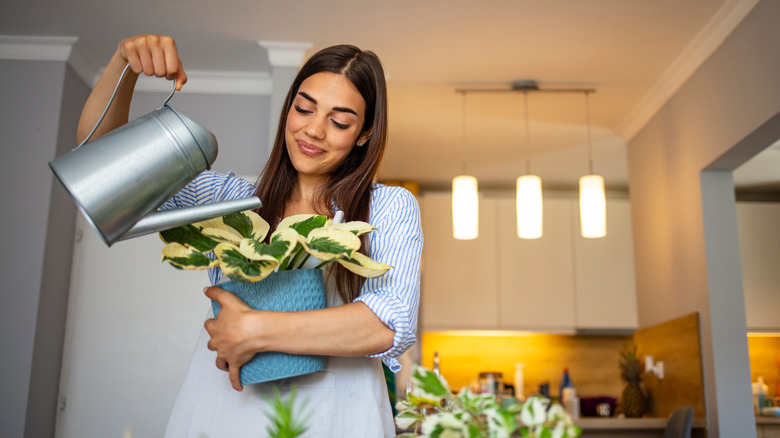 Woman watering a plant