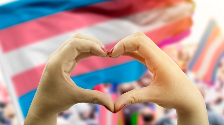 A hand making a heart in front of a trans pride flag