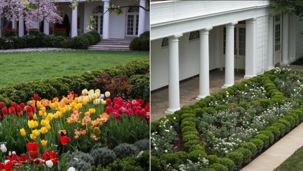 White House Rose Garden before and after the renovation