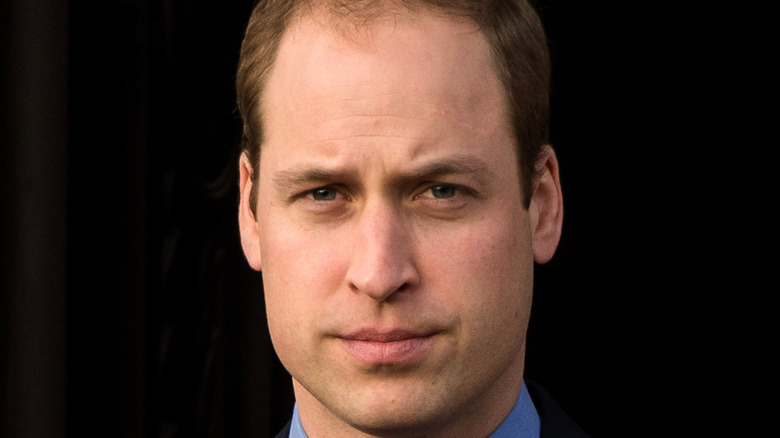 Prince William looks regal