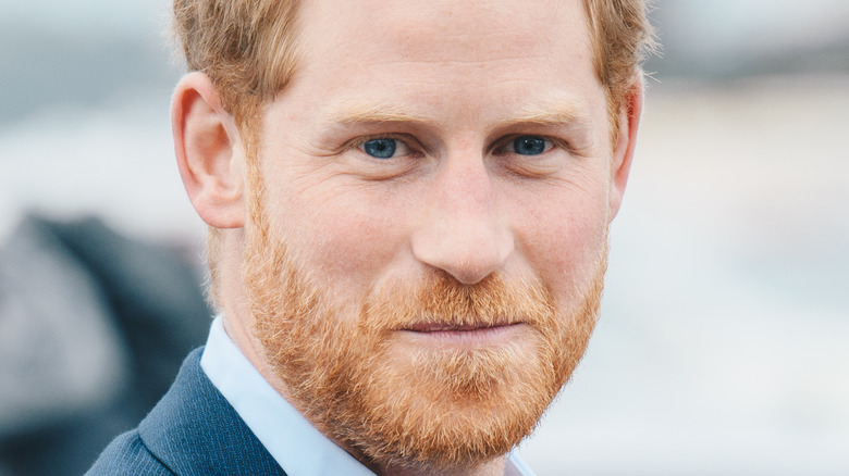 Prince Harry New Zealand 2019