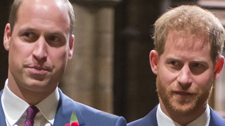 Prince Harry and Prince William