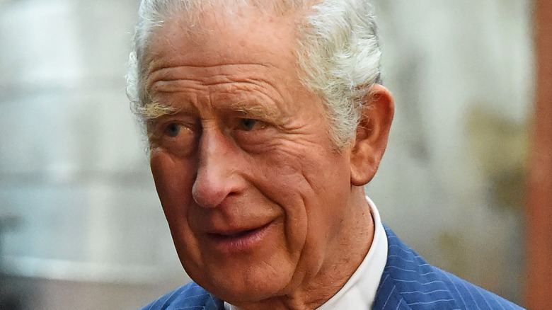 Prince Charles smiles