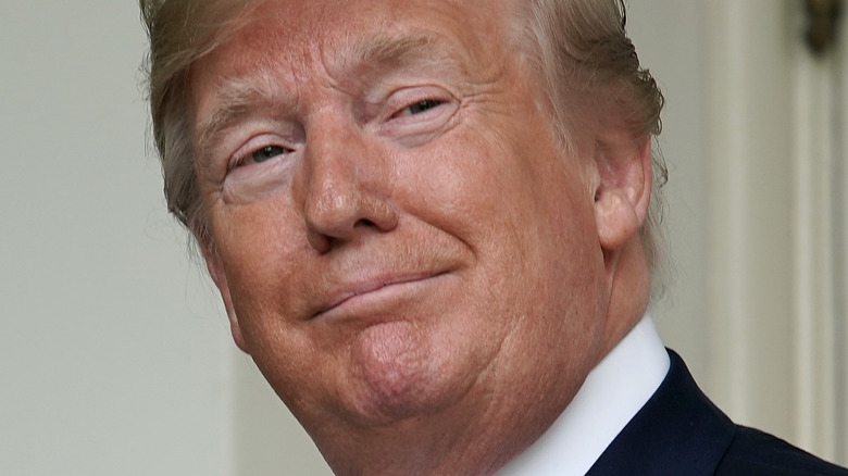 Donald Trump smiles smugly