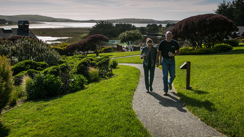 couple holding hands walking up path with drinks in hands