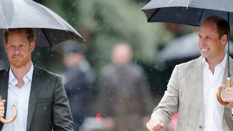 William and Harry in 2017 honoring Diana together