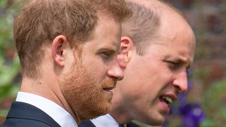 Prince Harry and Prince William July 2021