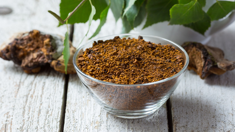 Chaga mushrooms and chaga powder