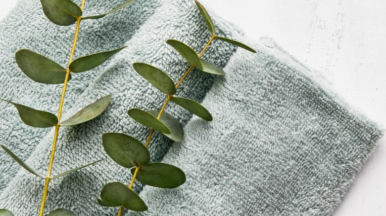 eucalyptus bundle on a towel
