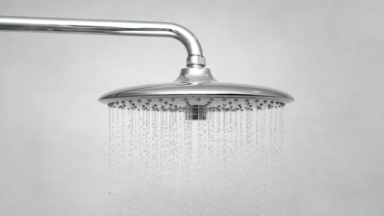 Shower head