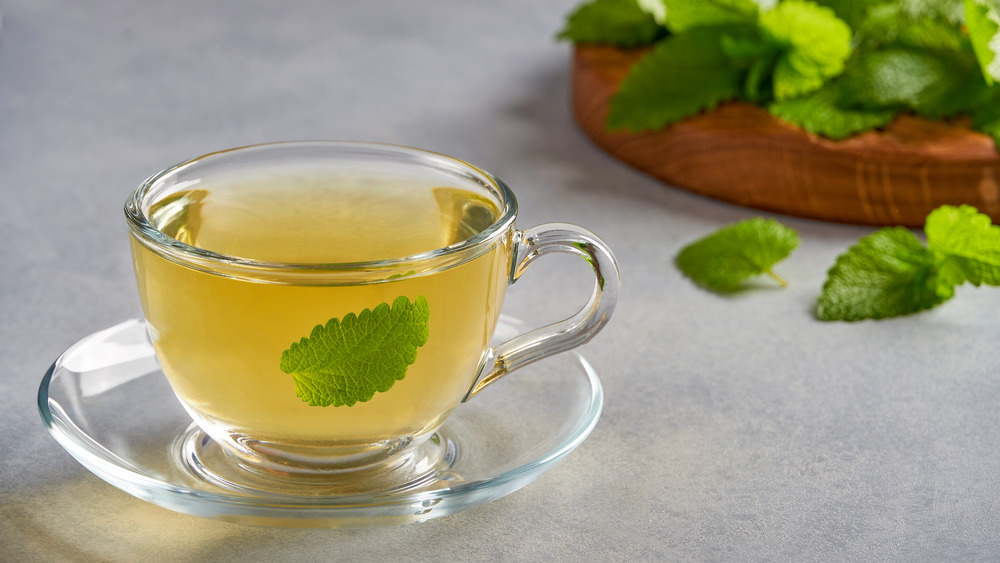 Cup of lemon balm tea 