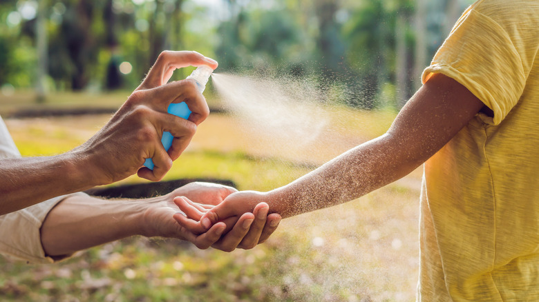 An adult spraying a child with bug spray 