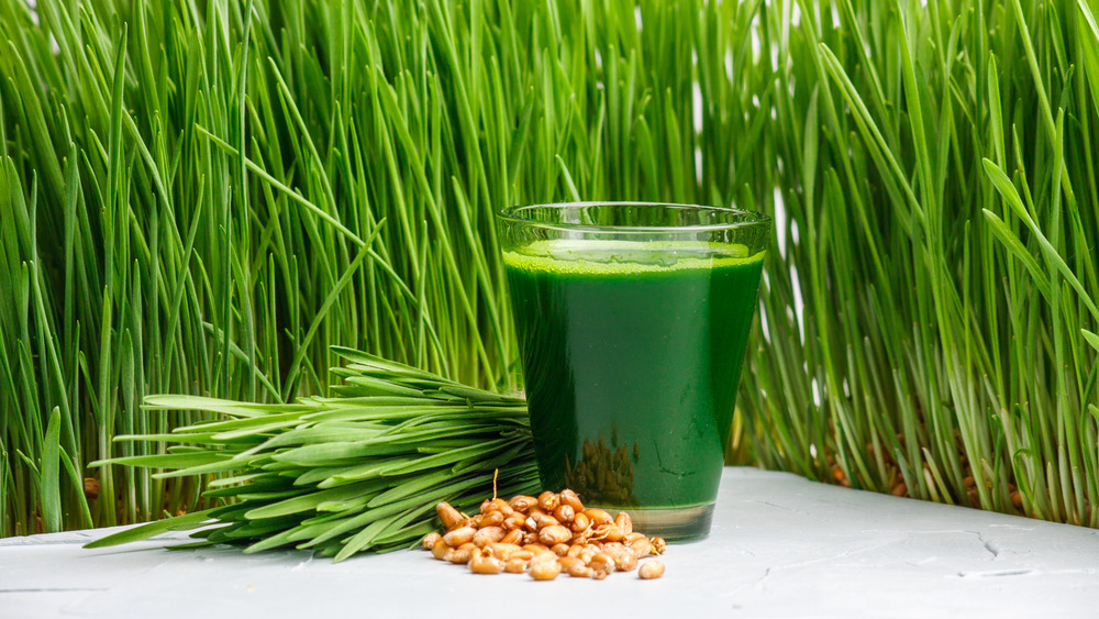 wheatgrass drink