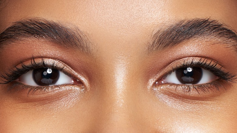 closeup of curled eyelashes