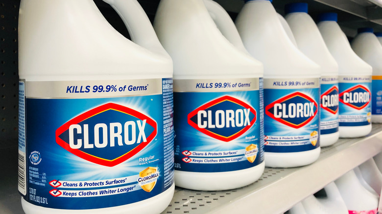 Row of Clorox bleach on a shelf 