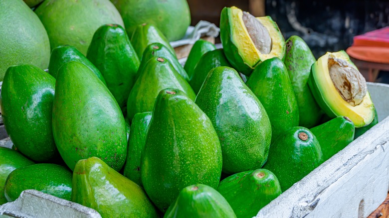 Fresh avocados for sale 
