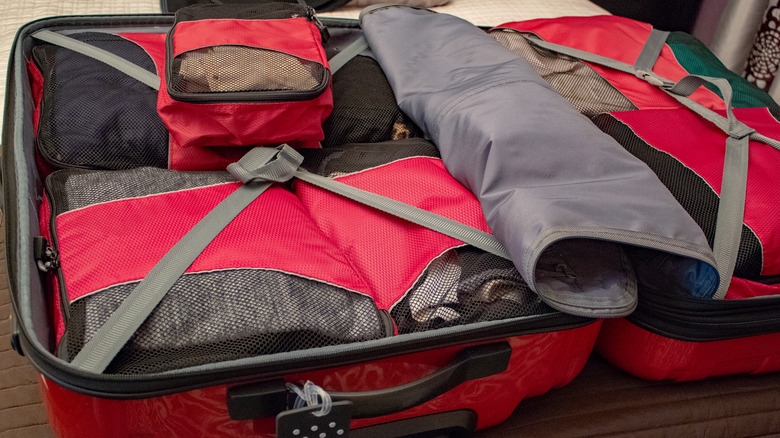 Suitcase with packing bags