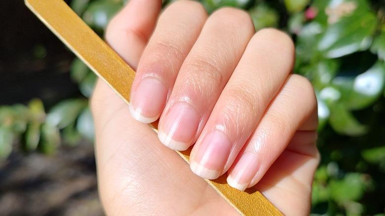 Hand holding nail file