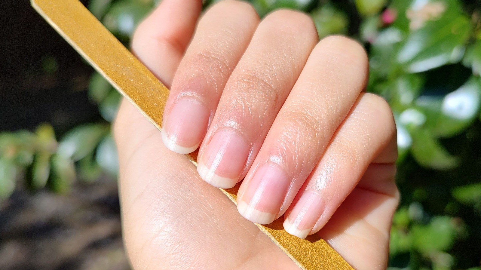Top 145+ clean your nails super hot