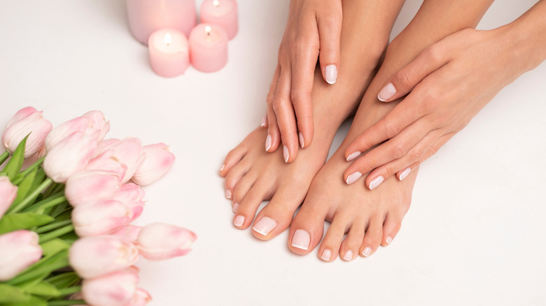 Woman's toe and finger nails