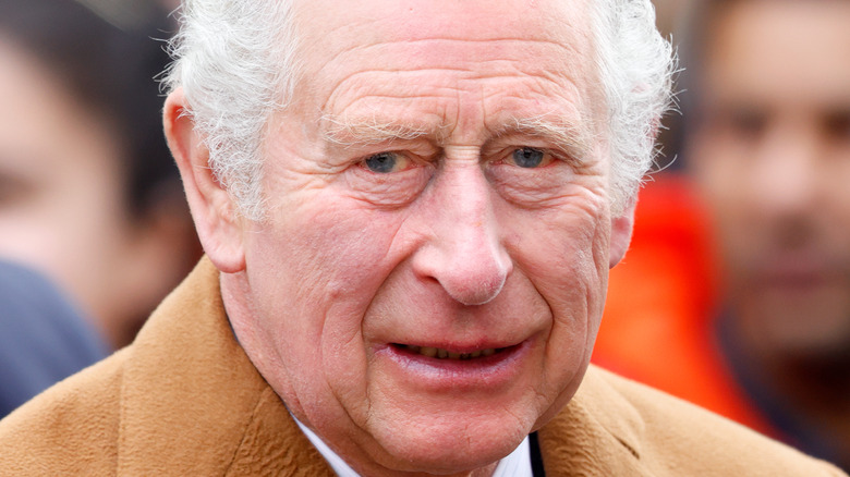 Prince Charles at an event. 
