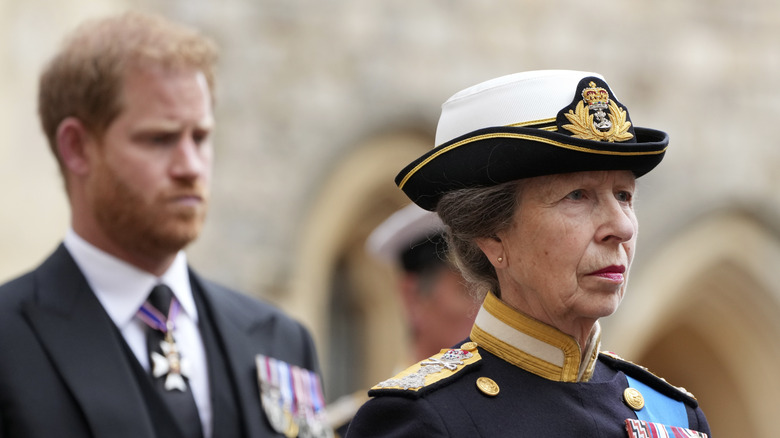 Prince Harry and Princess Anne at an event