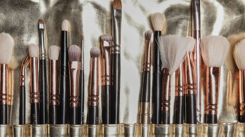 Collection of makeup brushes