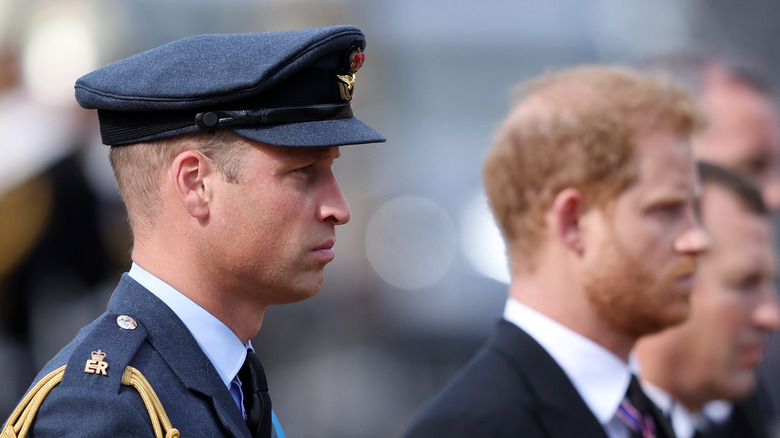 Prince William frowning in profile