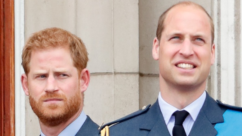 Prince Harry regards Prince William suspiciously