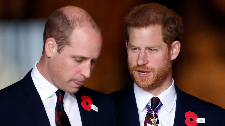 Prince William and Prince Harry talking