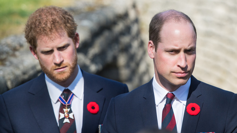Prince Harry and Prince William looking glum and standing apart from each other
